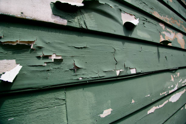 Best Construction Debris Removal  in Mauldin, SC